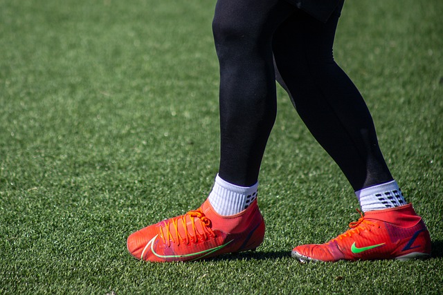 这些收获无 这些收获无