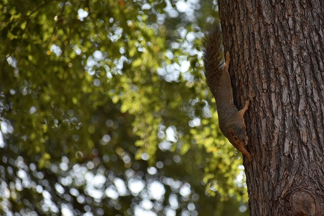 场迎战北京 场迎战北京