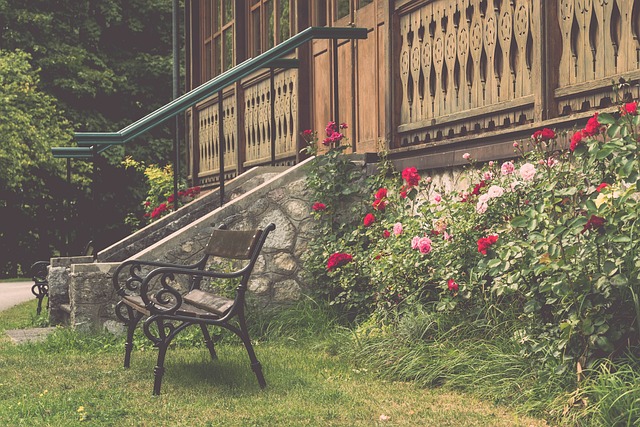 不仅是一种 不仅是一种