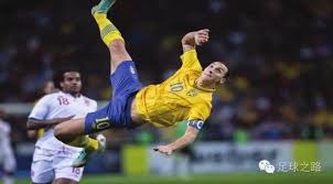 成功的转会 成功的转会